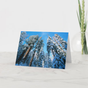 Cartão Gelo e neve   Sequoia National Park, Califórnia
