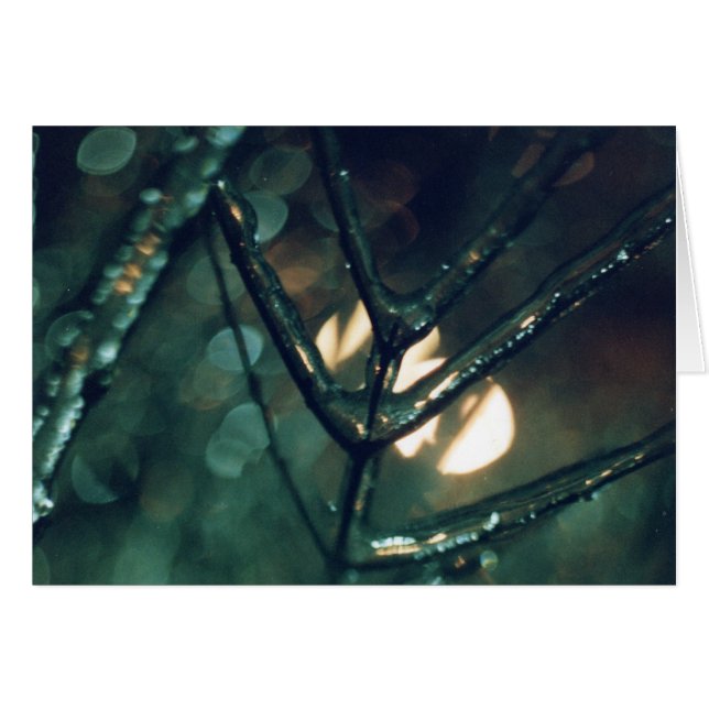 Cartão Gelo, noite, luz (Frente Horizontal)