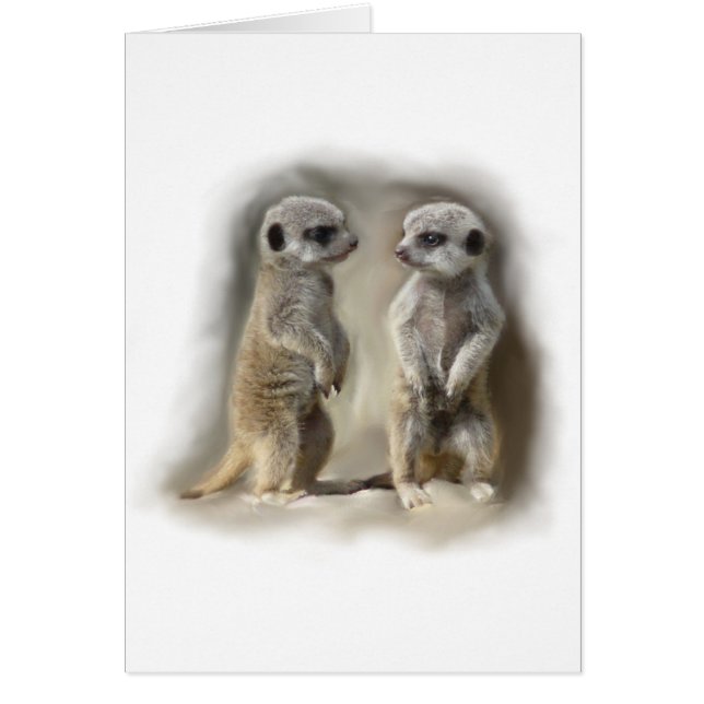 Cartão Gêmeos do bebê de Meerkat (Frente)