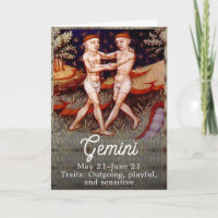 Gemini, a Festa de aniversário dos Sinais Gêmeos Z