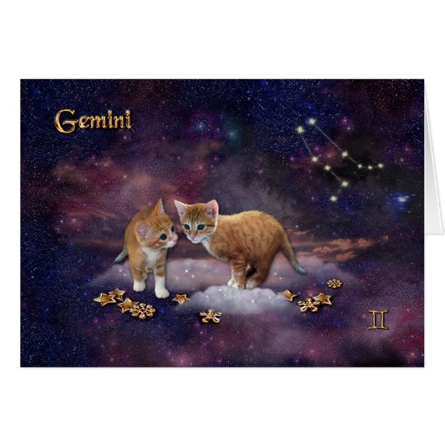 Cartão Gemini para Cat Lovers (Frente Horizontal)
