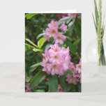 Cartão General do aniversário<br><div class="desc">Rhodie no jardim</div>