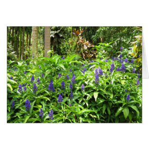 Cartão Gengibre azul