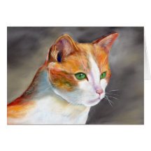 Gengibre bonito (a348)