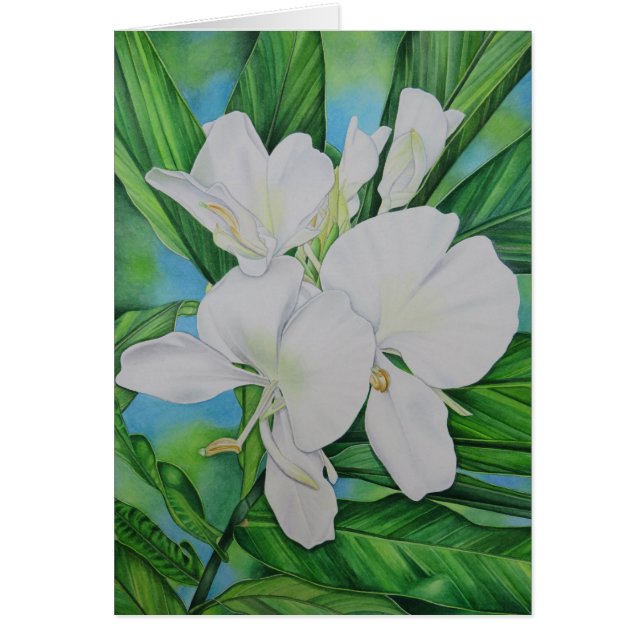 Cartão Gengibre branco havaiano (Frente)