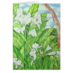 Cartão Gengibre do branco de Tantalus