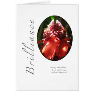 Cartão Gengibre Torched luminosidade