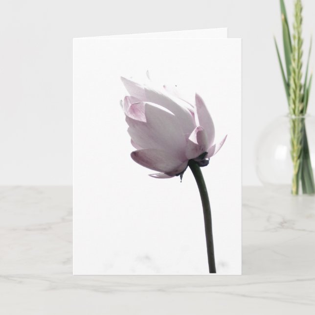 Cartão Gentil (Frente)