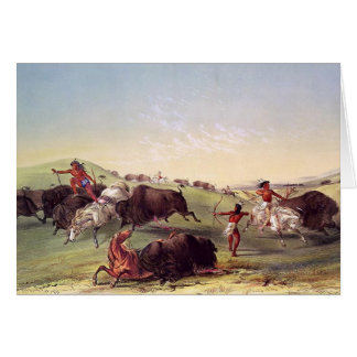 Cartão George Catlin - caça do búfalo