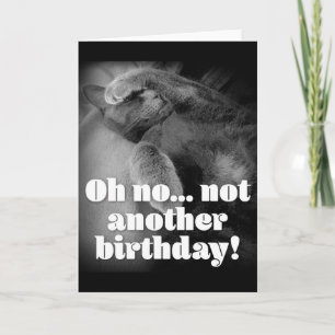 Cartão George the cat birthday card