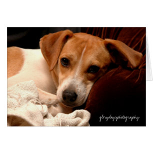 Cartão Geórgia, glorydaysphotography