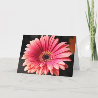 Cartão Gerber cor-de-rosa