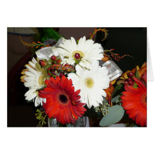 Cartão Gerber Daisy