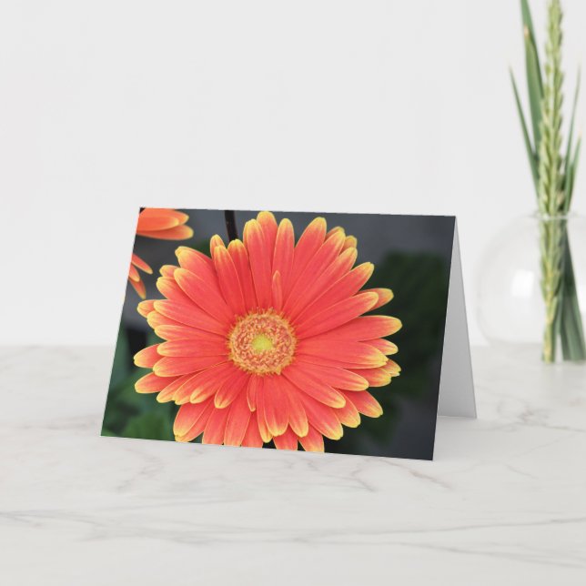 Cartão Gerbera (Frente)