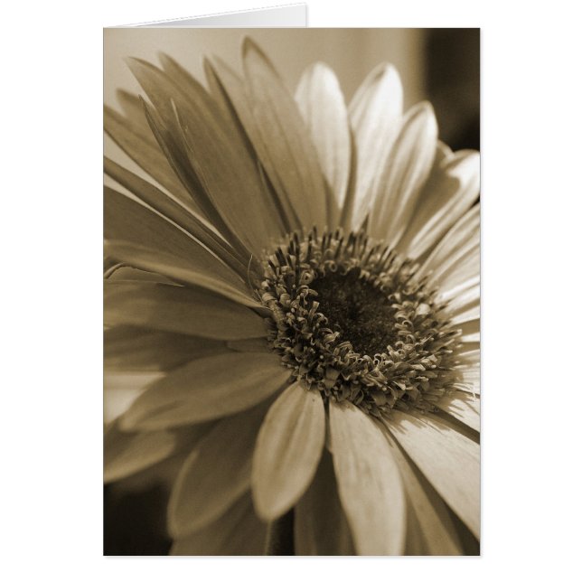 Cartão Gerbera (Frente)