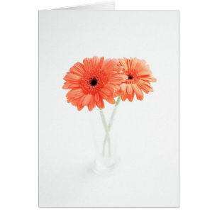 Cartão Gerbera Daisies, Orange