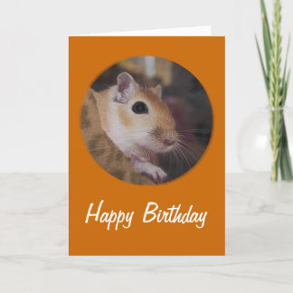 Cartão Gerbil dourado bonito do animal de estimação