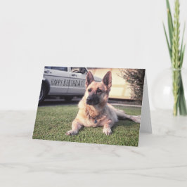 Cartão German shepherd, cão observador do amante do