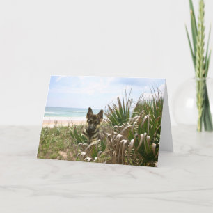 Cartão German Shepherd Card Beachgrass
