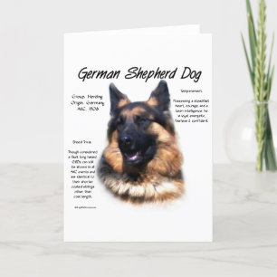Cartão German Shepherd Dog (longhair) History Design