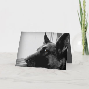 Cartão German Shepherd Greeting Card