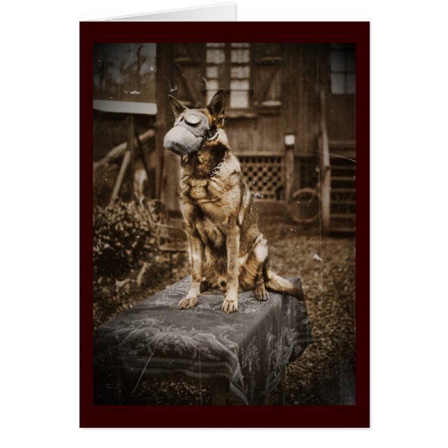 Cartão German shepherd na máscara de gás (Frente)