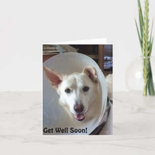 Cartão German Shepherd Rescue Central Texas Get Well Card