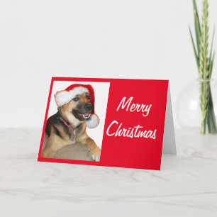 Cartão german shepherd vestindo um Chapéu do Papai Noel
