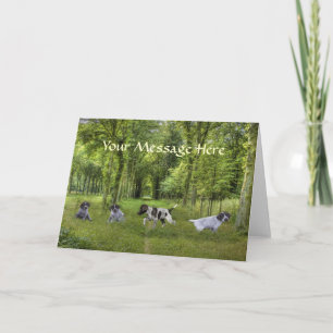 Cartão German Shorthaired Pointer Pups Greeting Card