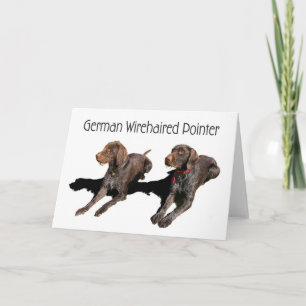 Cartão German Wirehaired Pointer