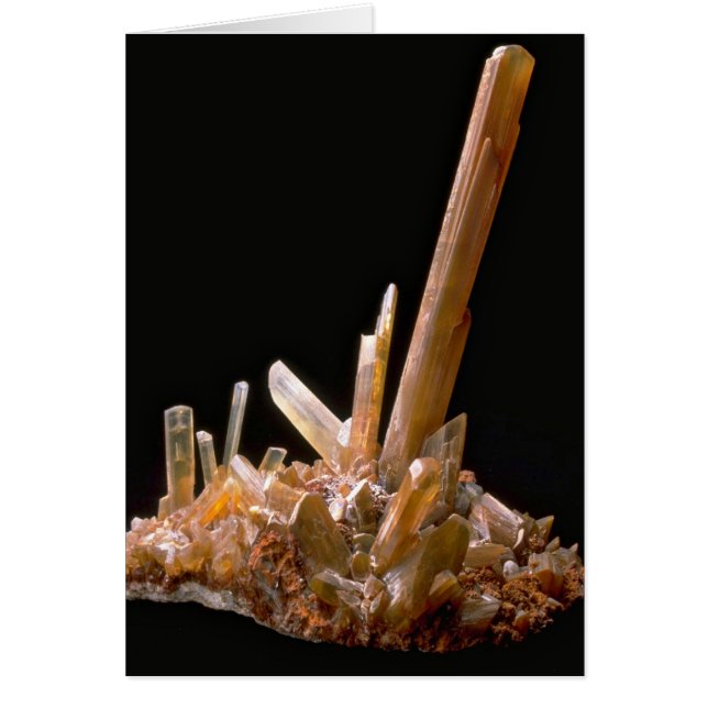 Cartão Gesso (Frente)