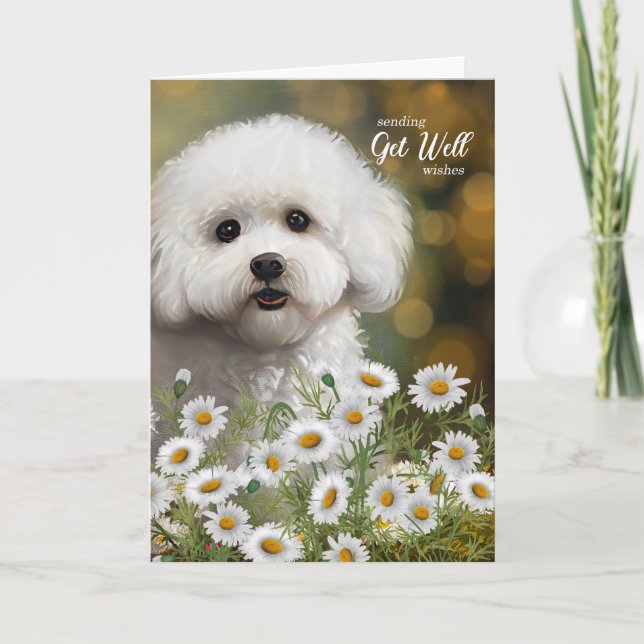 Cartão Get Well Bichon Frise Dog Daisies (Frente)