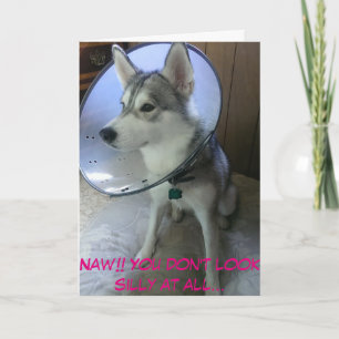 Cartão Get well Card #2 (Engraçado)