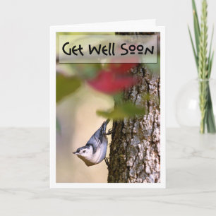 Cartão Get Well - Nuthatch Greeting Card