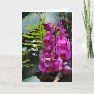 Cartão Get Well Orchids