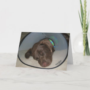 Cartão Get well soon