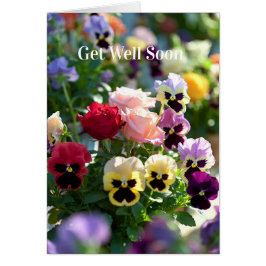 Cartão Get Well Soon Card