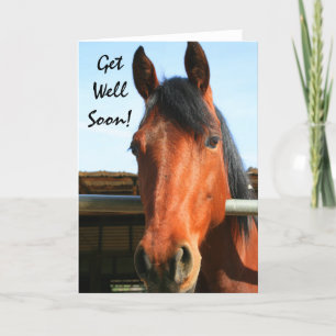 Cartão Get Well Soon horse greeting card