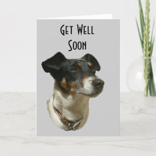 Cartão Get Well soon with Jack Russell dog Greeting  Card