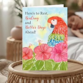Cartão Get Well Soon with Scarlet Macaws and Hibiscus