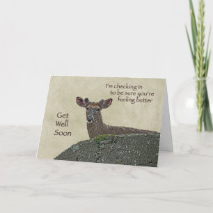 Cartão Get Well Whitetail Deer Buck in Velvet Greeting