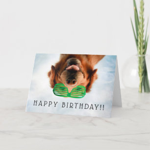 Cartão Getty Images   Dog With Glasses