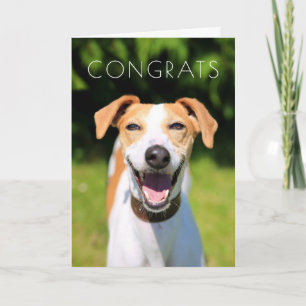 Cartão Getty Images Laughing Dog