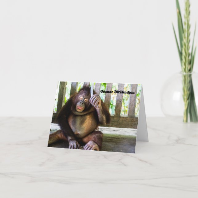 Cartão Gëzuar Ditëlindjen, aniversário albanês (Frente)