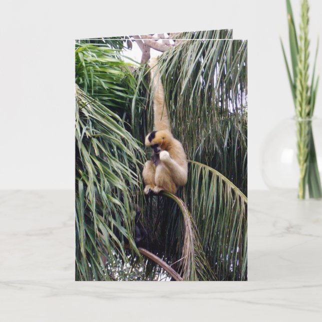 Cartão Gibbon, _Just_Chillin, _Greeting_Card. (Frente)