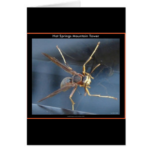 Cartão Gift & Aparel de Montanha Quente Primavera