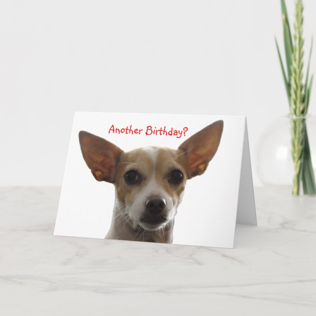 Cartão GiGi, um outro aniversário? (Frente)