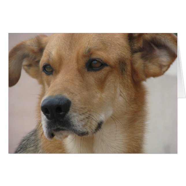 Cartão Gilbert (Frente horizontal)