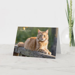 Cartão Ginger Cat em uma cerca russa