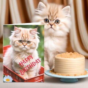 Cartão Ginger e Cream Tabby Cat no Aniversário do Vagão V